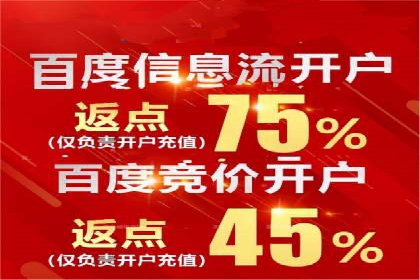 行业巨头的SEM广告投放策略揭秘